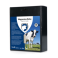 Magnesium bolus (4 st)