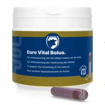 Euro-Vital Bolus 24 x 10 g