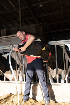 Cow Drencher Automatisch