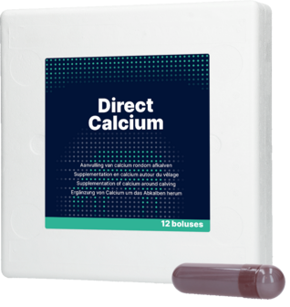 Direct Calcium Bolus (12 st)