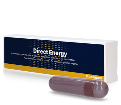 Direct Energie Bolus (4 st)