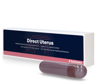 Direct Uterus (Nageboorte) Bolus (4 st)