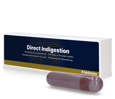 Direct Indigestie Bolus (4 st)