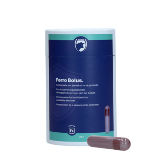 Ferro Bolus 24 x 9 g