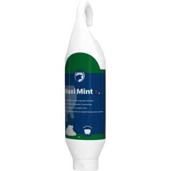 Maxi Mint 1 liter
