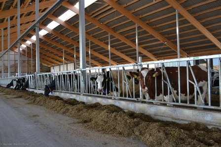 Zelfsluitend voerhek voor grootvee 225 cm