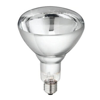 Warmtelamp Philips 250 watt wit