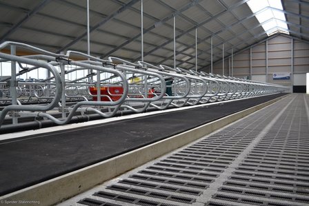 Meadow Vista Junior 165 cm inclusief bevestigingsmateriaal