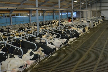 Meadow Next matras voor jongvee 135 cm inclusief bevestigingsmateriaal