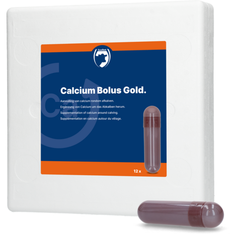 Calcium Bolus Gold 4 stuks