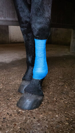 Bandage Animal Blauw Glitter Profi 10 cm
