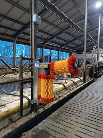 Koeborstel Easycleaner DUO