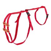 Lijfbieder-bandage (prolapsbandage) voor schapen