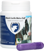 Black Garlic Bolus Calf