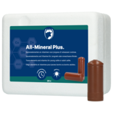 All-Mineral Plus 20 st