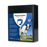 Magnesium bolus (4 st)