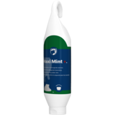 Maxi Mint 1 liter