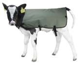 Kalverdek Calf Coat 80 cm