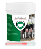 Maxi Plastic Tepelcanule canula 55 mm luer 20 stuks