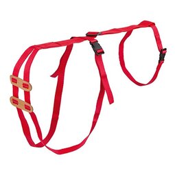 Lijfbieder-bandage (prolapsbandage) voor schapen Lijfbieder-bandage (prolapsbandage) voor schapen