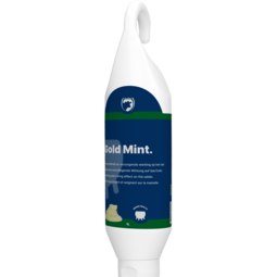 Gold Mint 1 liter Gold Mint 1 liter