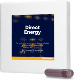 Direct Energie Bolus 12 x 67 g Direct Energie Bolus 12 x 67 g
