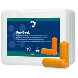UNO Beef (Vleesvee) 20 x 113 g UNO Beef (Vleesvee) 20 x 113 g