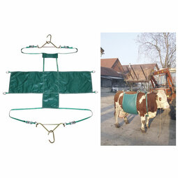 Koelift Daisy Lifter compleet