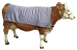 Koedek, thermodek ruglengte 155 cm Koedek, thermodek ruglengte 155 cm