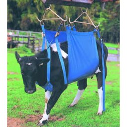 Koelift Daisy Lifter compleet Koelift Daisy Lifter compleet