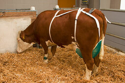 Uiernet compleet Uiernet compleet