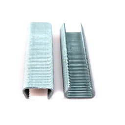 Gaaskrammen VERZINKT 20mm (1000st) Gaaskrammen VERZINKT 20mm (1000st)