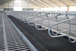 Meadow Vista Junior 135 cm inclusief bevestigingsmateriaal