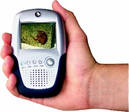 LCD monitor 2.5" los voor Stal & Trailer LCD monitor 2.5" los voor Stal & Trailer