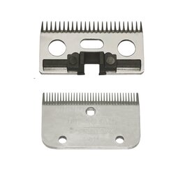 Messenset Constanta Rodeo (24/35tds) Messenset Constanta Rodeo (24/35tds)