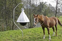 Dazenval  TaonX, compleet Dazenval  TaonX, compleet